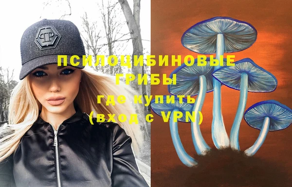 таблы Богданович