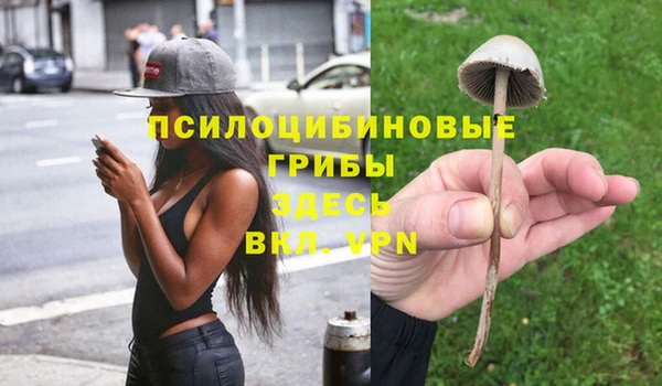 таблы Богданович